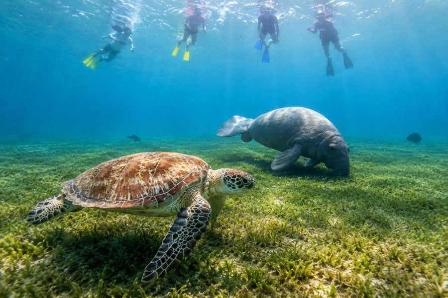 Egyptian Maldives