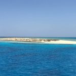 IMG-20191126-WA0012